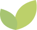 correction_grow